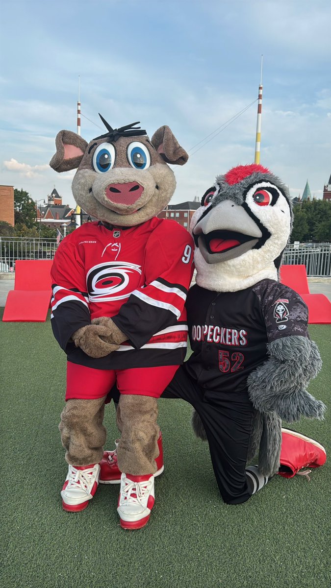 Fayetteville Woodpeckers tweet media