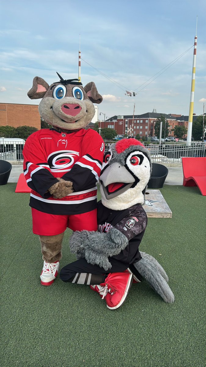 Fayetteville Woodpeckers tweet media