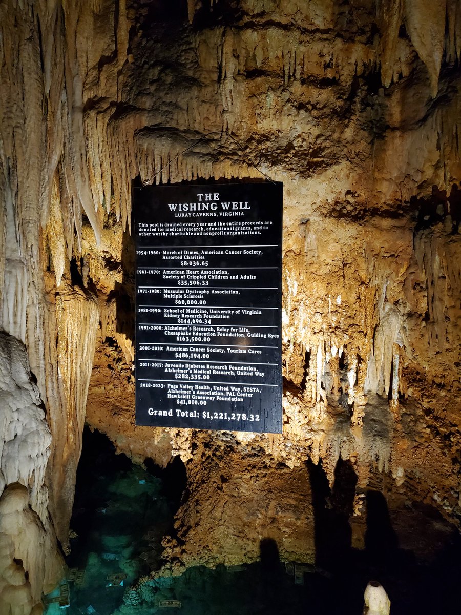 Andi ❤🖤💚 tweet media