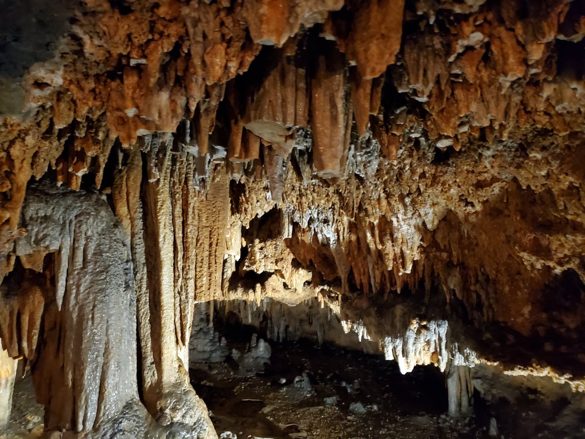 Andi ❤🖤💚 tweet media