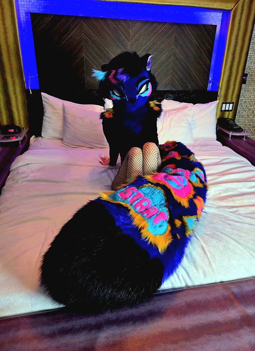 L, R, L, R, A, B, START! 🎮
Meet Konami Code the Striped Polecat!

Konami was one of our @glitchyweaselworks premades who was available at #fureh ! They found a home with <a href="/SpicyStoat/">Spicy Stoat (🔞)</a>  after the con (can you blame us for wanting to keep them? :'3)