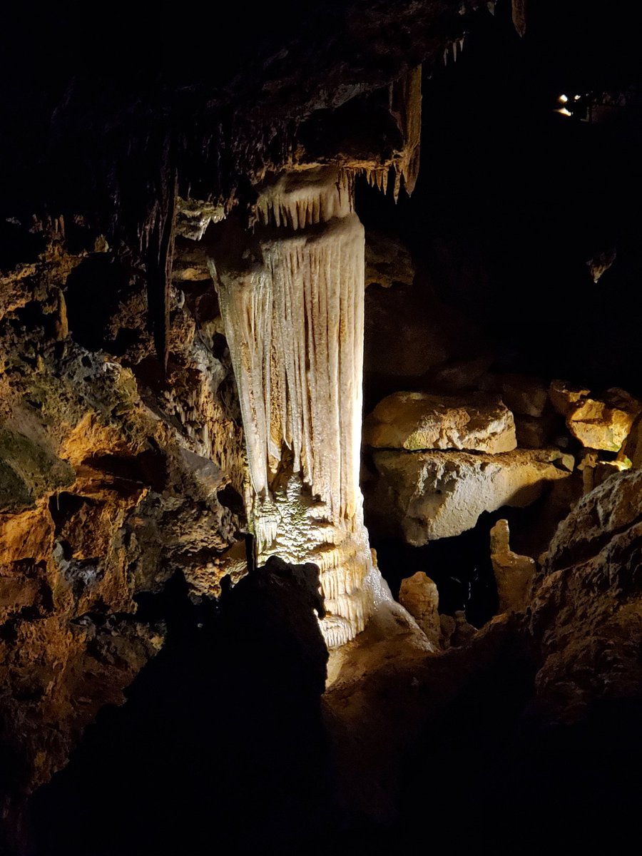 Andi ❤🖤💚 tweet media