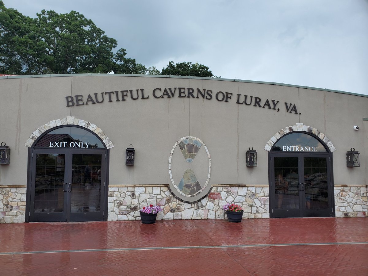 Andi ❤🖤💚 tweet media