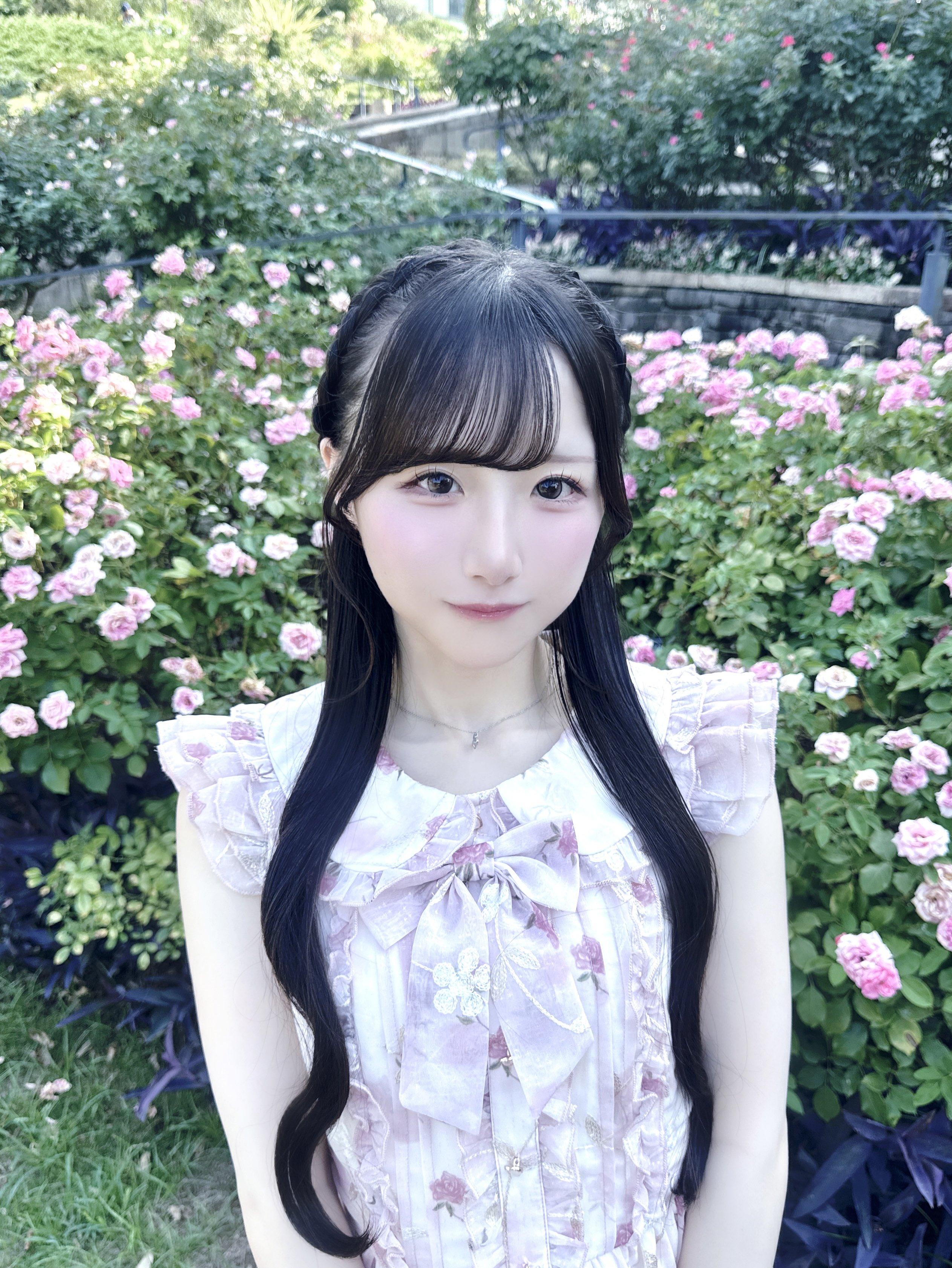 ぴょんちゃん　23.グラスアートフィルム 19枚セット ぴょんちゃん 23.グラスアートフィルム 19枚セット ぴょんちゃん