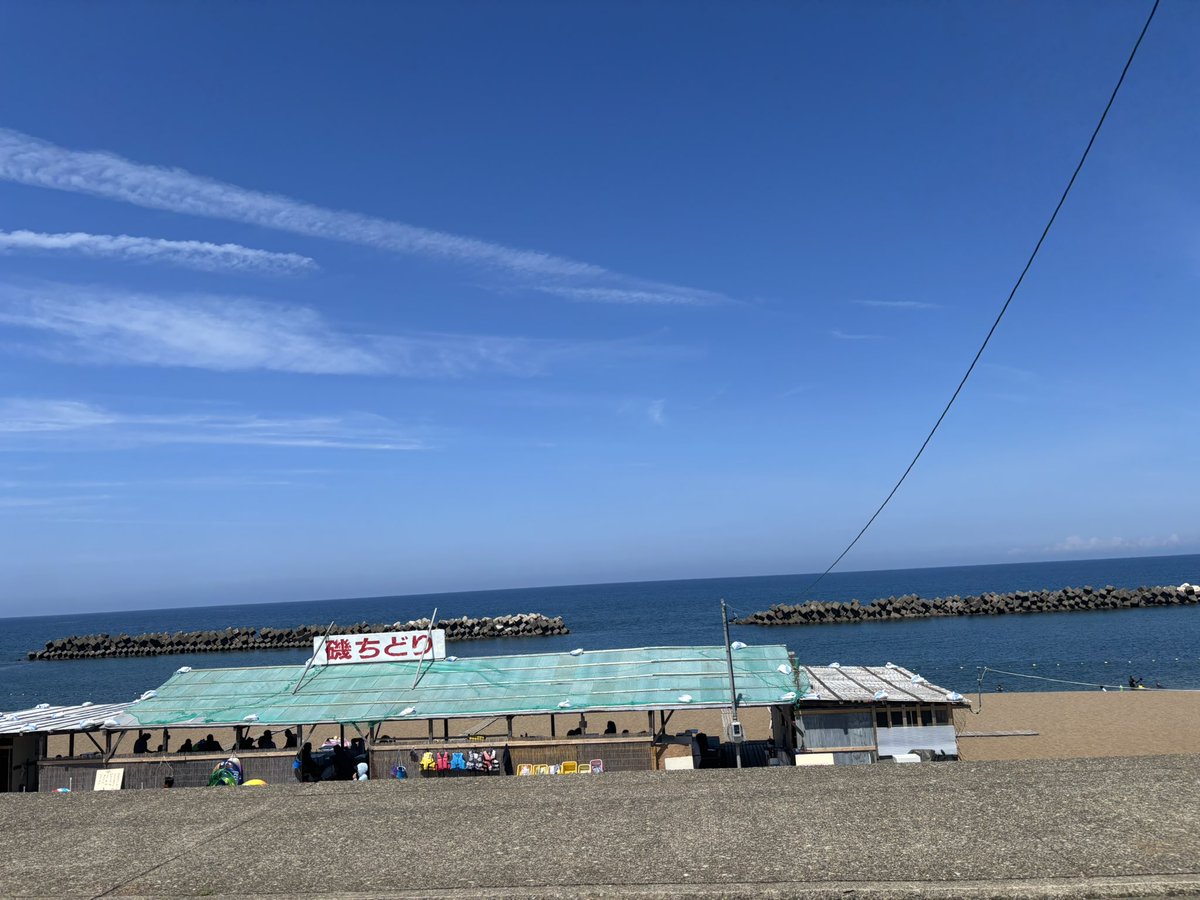 koganemoti tweet media