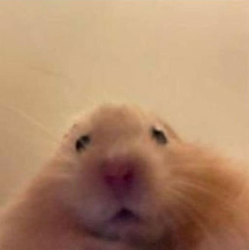 랑호 (@ho5hi__kwon__) on Twitter photo 