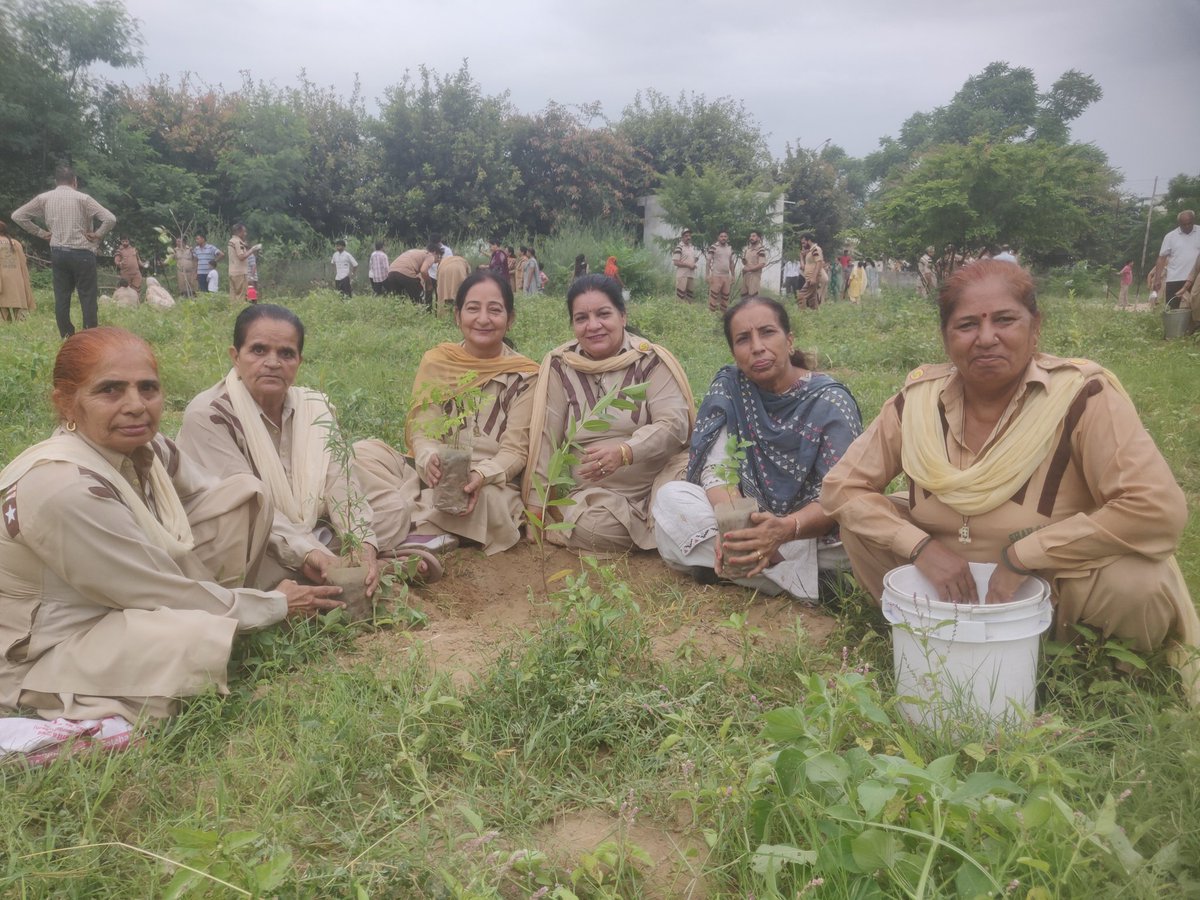 Rimpymehta3's tweet photo. Our hands not just plant trees, they plant hopes for future generations. 

Saint Dr MSG  and his devotees conduct #MegaTreePlantation every year on 15 August to celebrate his birthday.
#PlantForFuture https://t.co/rQnrd1zV3E