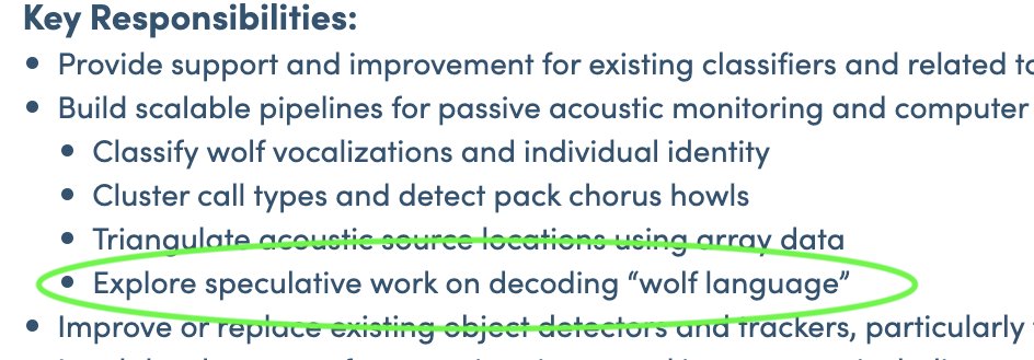 oops new dream job I have been preparing my whole life