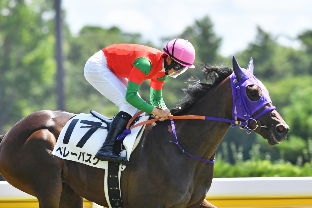 新潟5R メイクデビュー新潟は、17番ベレーバスクが直線抜け出すと内ラチ沿いを伸び3馬身差の圧勝‼️✨