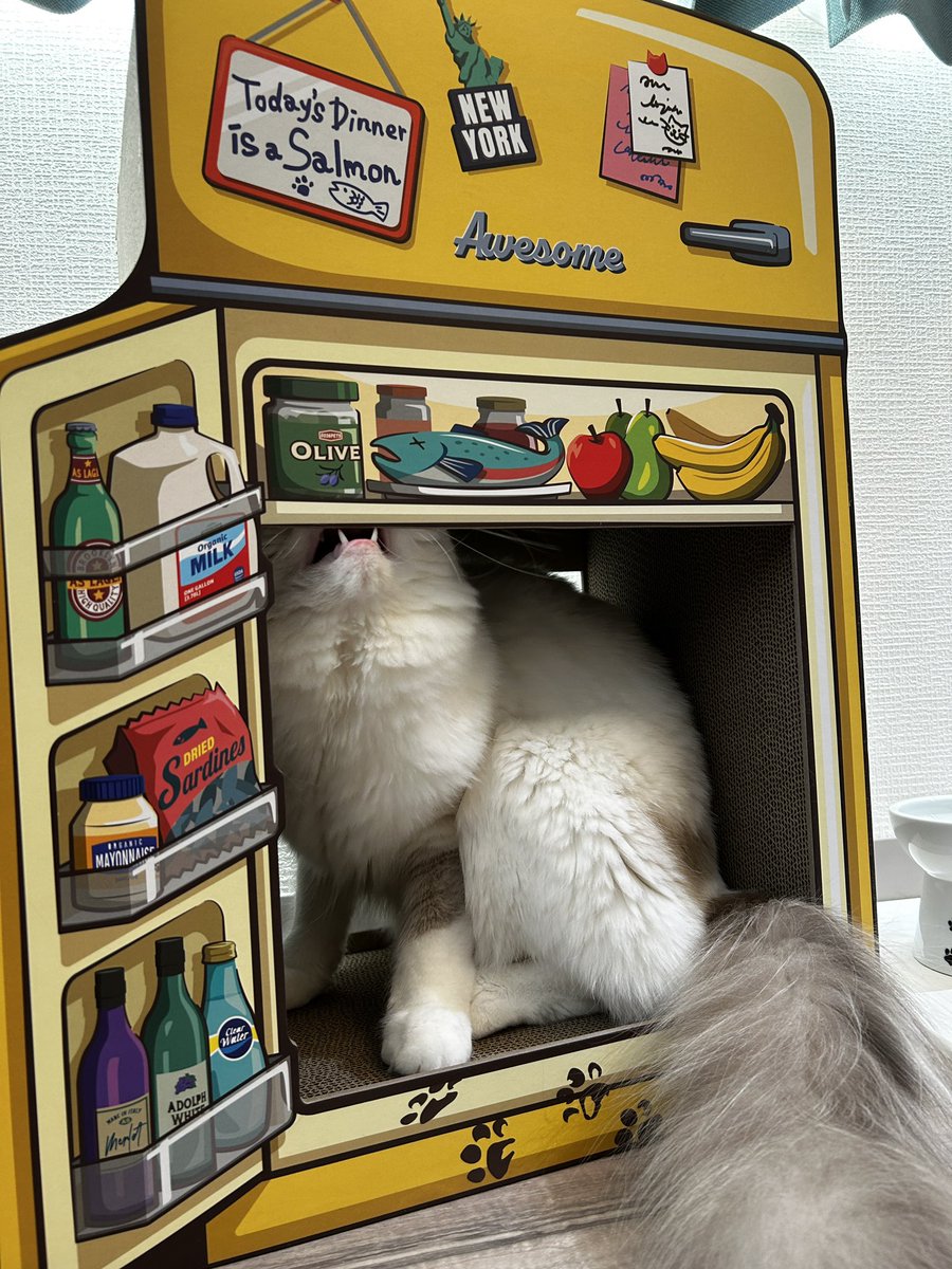 オシャ爪研ぎがきた 既に大人気である