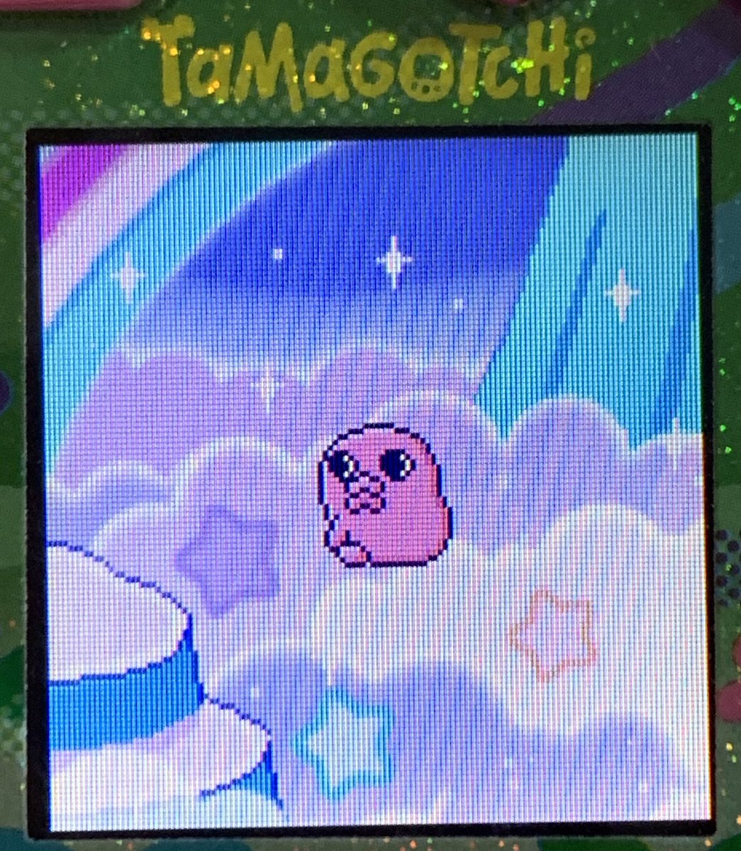 なんか、一触即発みたいな雰囲気のくちぱっちに育った