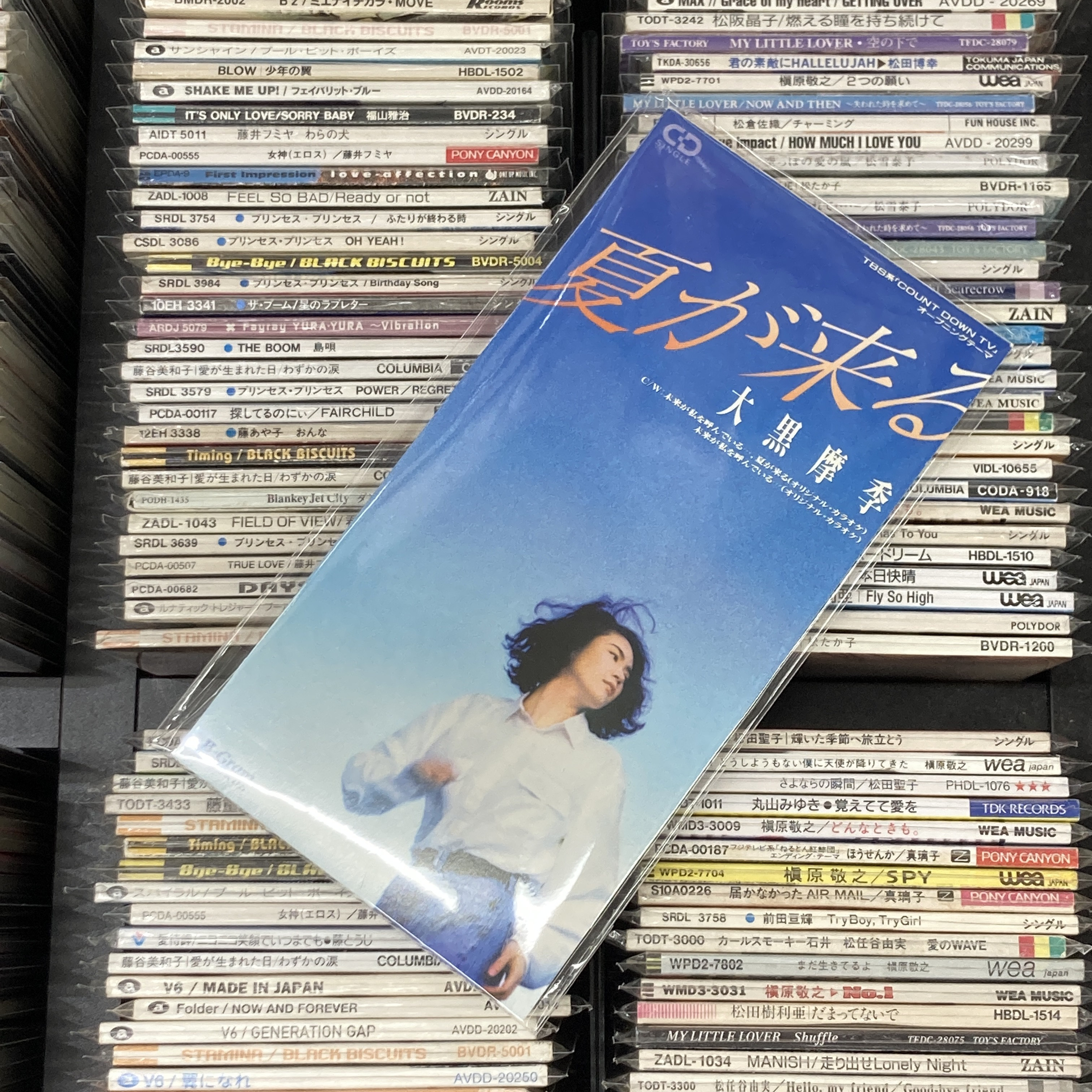 大黒摩季 CD13枚セット 大黒摩季 シングルCD13枚セット - メルカリ