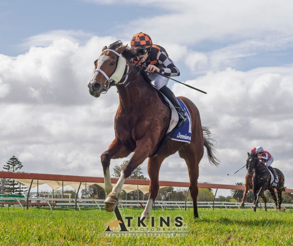 Terry Hann tweet media