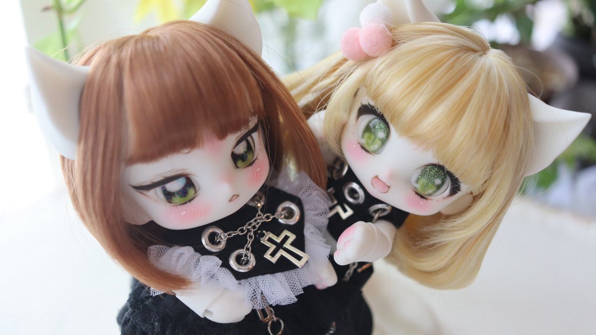 お姉ちゃん大好き！な🐈と嫌そうな🐈‍⬛

#海月のベスティ