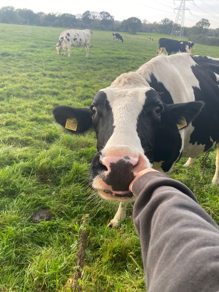 filipe com i tweet media