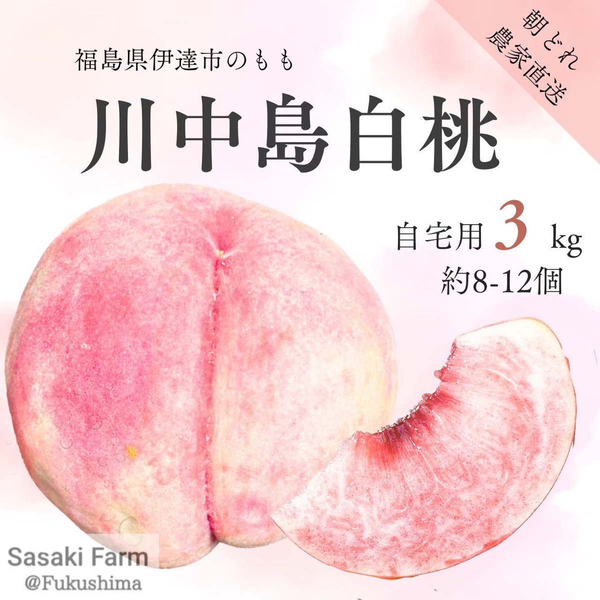 ssk_fukushima's tweet photo. ／
佐々木農園
 #プレゼントキャンペーン 📣
＼

「佐々木農園」福島県伊達市で
桃を販売しております🍑

「川中島白桃 3kg 8-12個」
を1名様へプレゼント！

【応募方法】
1️⃣ @ssk_fukushimaをフォロー
2️⃣この投稿をリポスト

【締切】
8/18(月)23:59

#懸賞 #プレゼント企画 #桃 https://t.co/ghuvYrEje7