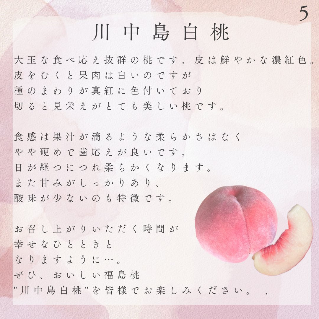 ssk_fukushima's tweet photo. ／
佐々木農園
 #プレゼントキャンペーン 📣
＼

「佐々木農園」福島県伊達市で
桃を販売しております🍑

「川中島白桃 3kg 8-12個」
を1名様へプレゼント！

【応募方法】
1️⃣ @ssk_fukushimaをフォロー
2️⃣この投稿をリポスト

【締切】
8/18(月)23:59

#懸賞 #プレゼント企画 #桃 https://t.co/ghuvYrEje7