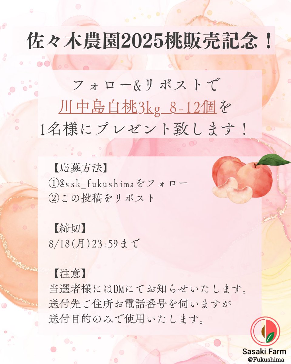 ssk_fukushima's tweet photo. ／
佐々木農園
 #プレゼントキャンペーン 📣
＼

「佐々木農園」福島県伊達市で
桃を販売しております🍑

「川中島白桃 3kg 8-12個」
を1名様へプレゼント！

【応募方法】
1️⃣ @ssk_fukushimaをフォロー
2️⃣この投稿をリポスト

【締切】
8/18(月)23:59

#懸賞 #プレゼント企画 #桃 https://t.co/ghuvYrEje7