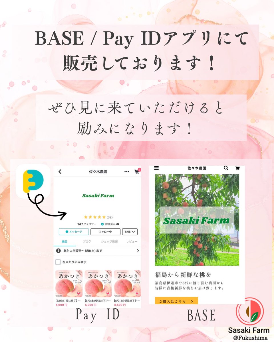 ssk_fukushima's tweet photo. ／
佐々木農園
 #プレゼントキャンペーン 📣
＼

「佐々木農園」福島県伊達市で
桃を販売しております🍑

「川中島白桃 3kg 8-12個」
を1名様へプレゼント！

【応募方法】
1️⃣ @ssk_fukushimaをフォロー
2️⃣この投稿をリポスト

【締切】
8/18(月)23:59

#懸賞 #プレゼント企画 #桃 https://t.co/ghuvYrEje7