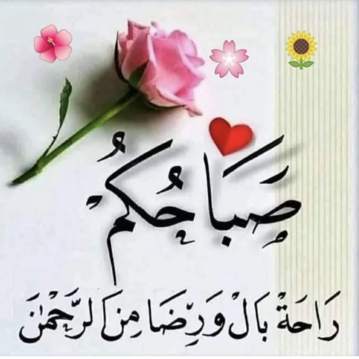 صباح الورد والكادي❤️❤️