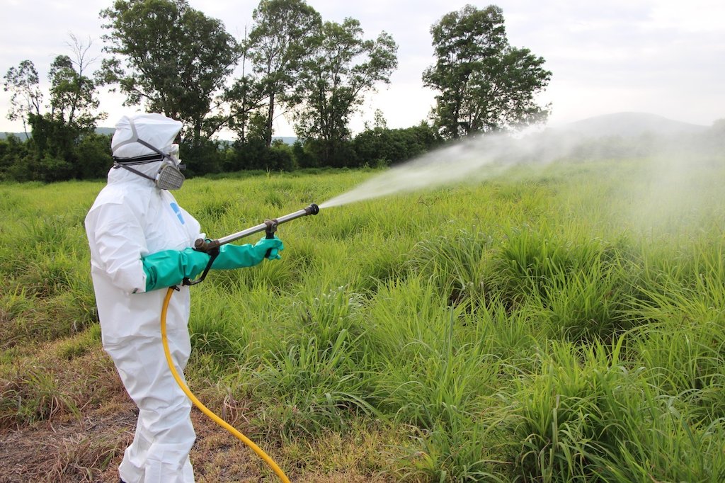 h_conexion's tweet photo. 🔴 #AlMomento l La #SeCampo #EdoMéx invirtió 1.3 MDP para proteger 385 hectáreas de cultivos de la langosta centroamericana 🐛🚁 Con monitoreo, capacitaciones y tratamientos, se blinda la producción agrícola 🌽Profundiza en el tema aquí 👇

https://t.co/RgpssjsGYa https://t.co/k9PLSC52dE