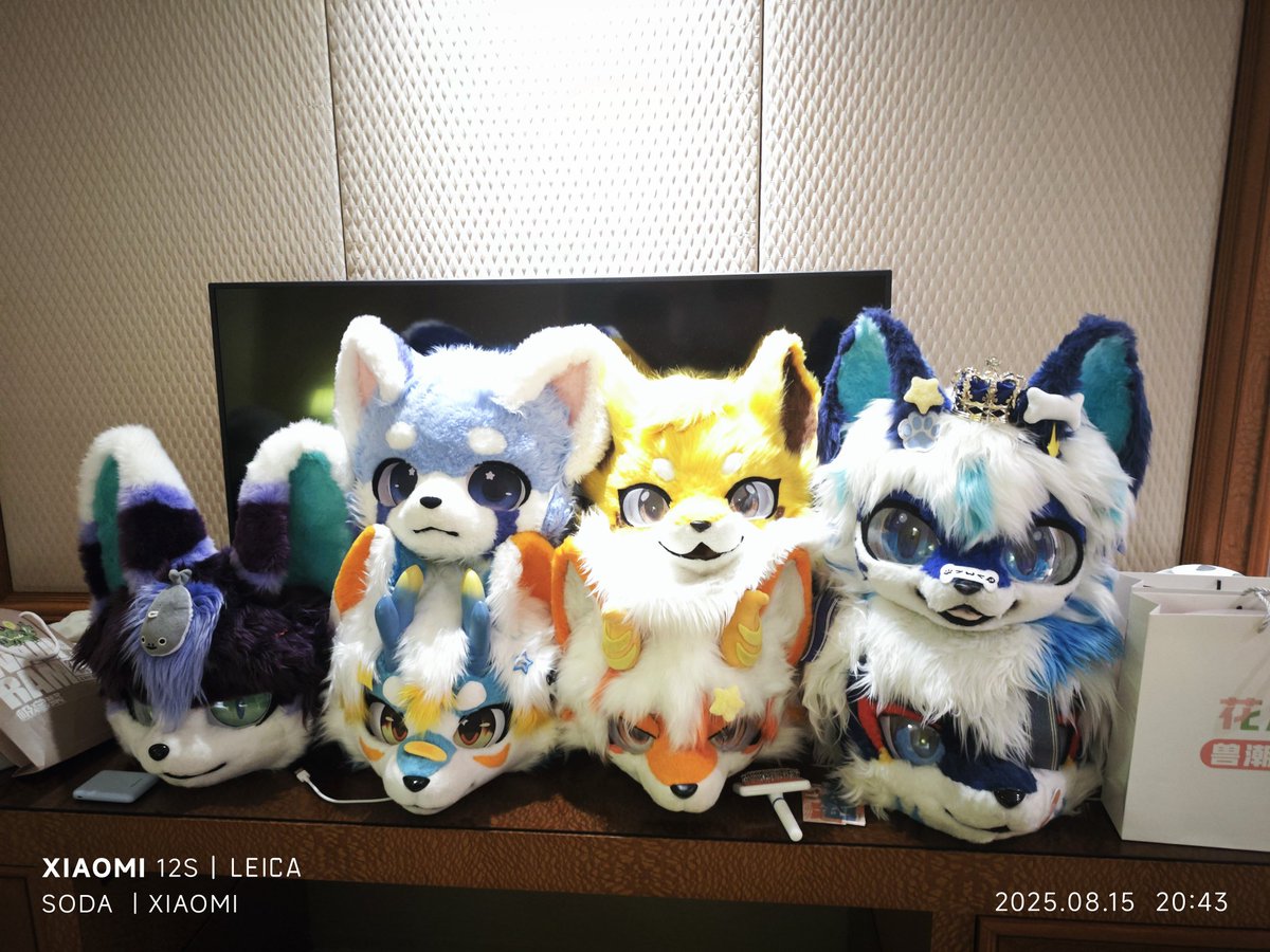 小苏打灭火器 tweet media