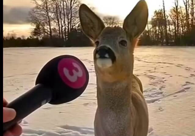 datoneguyyk's tweet image. I hate this fandom so much can yall be normal…..
#tgctwt #thegroup