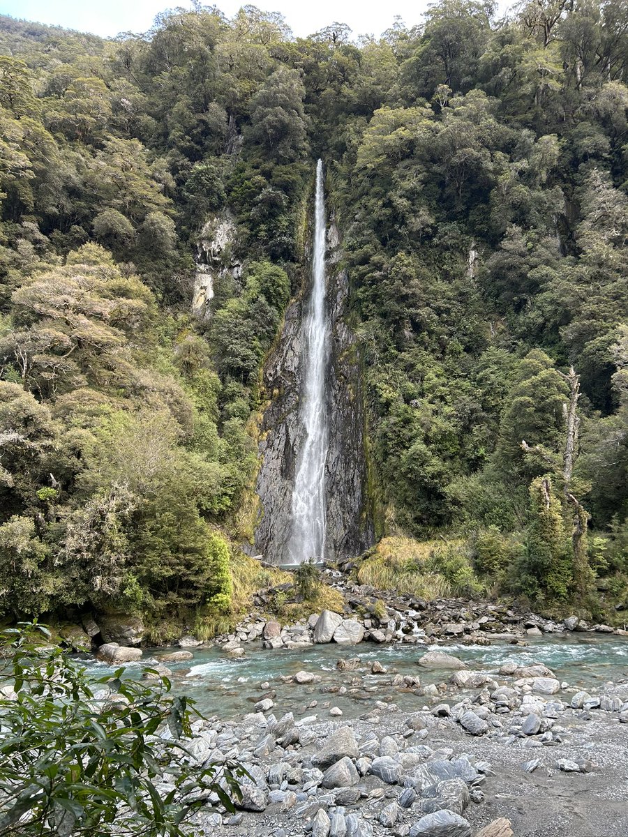 Vernon Small tweet media