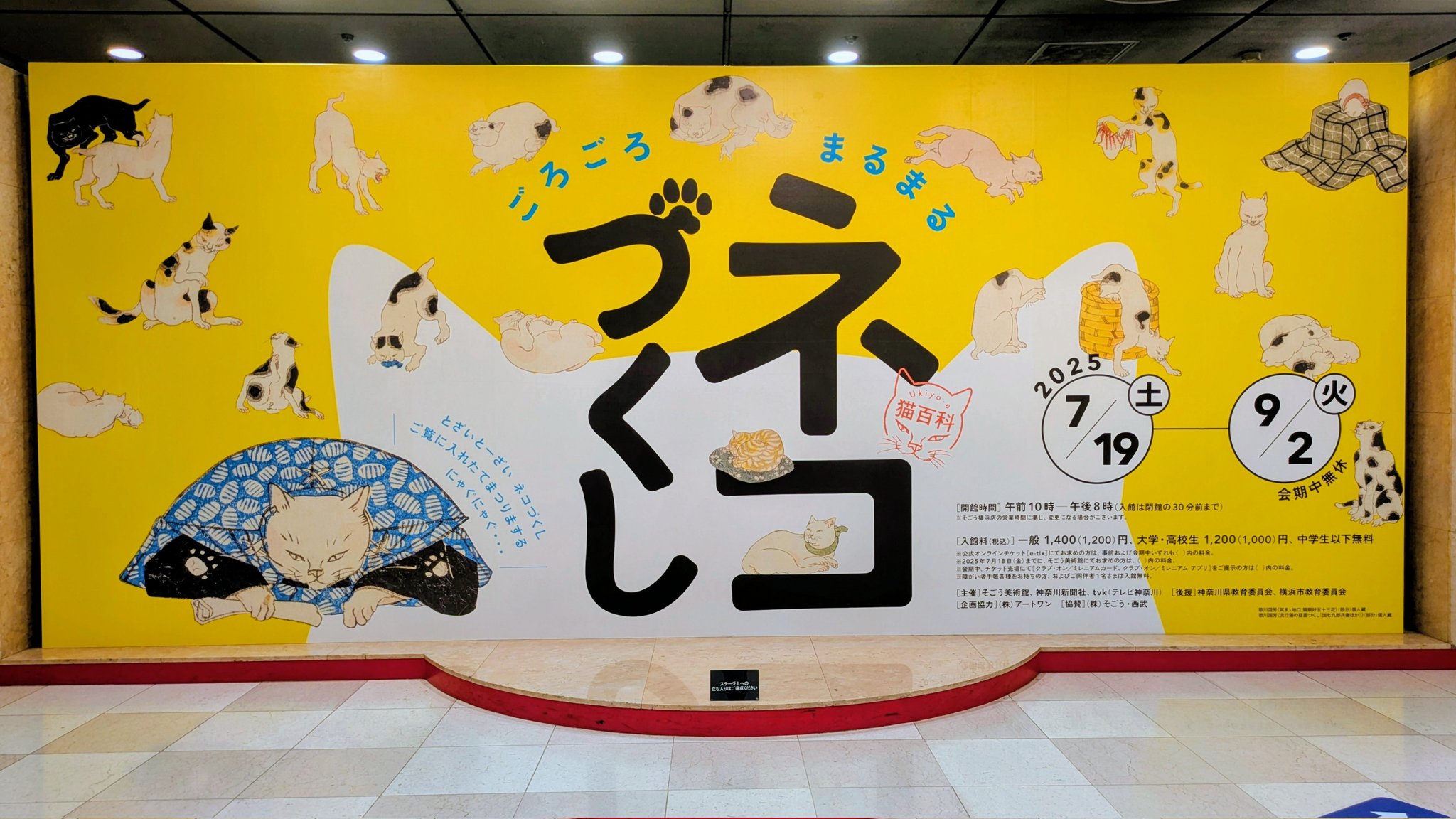 ねこづくし 2222271_L.jpg