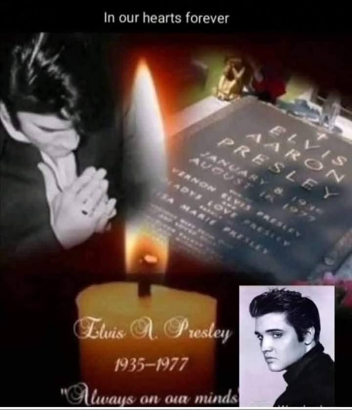 gginger069's tweet photo. We Love You
Beyond Measure
๐ฏ๏ธโก๐โค๏ธ๐ฏ๏ธโกโค๏ธ๐
#RememberingElvis
#Elvis
#ElvisPresley https://t.co/G8KbmcpI0A