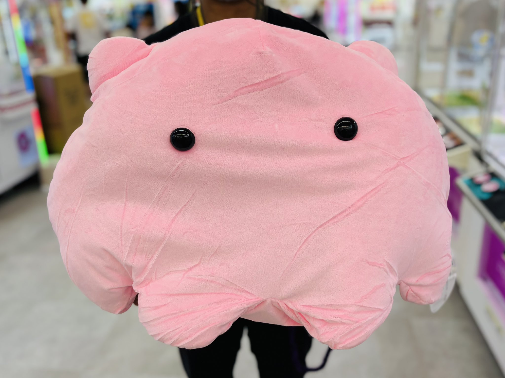  man Bigぬい 9体セット いろとりどりのセカイ】『BIG真紅ちゃんぬいぐるみ』他
