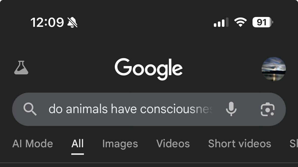 Asking the big questions