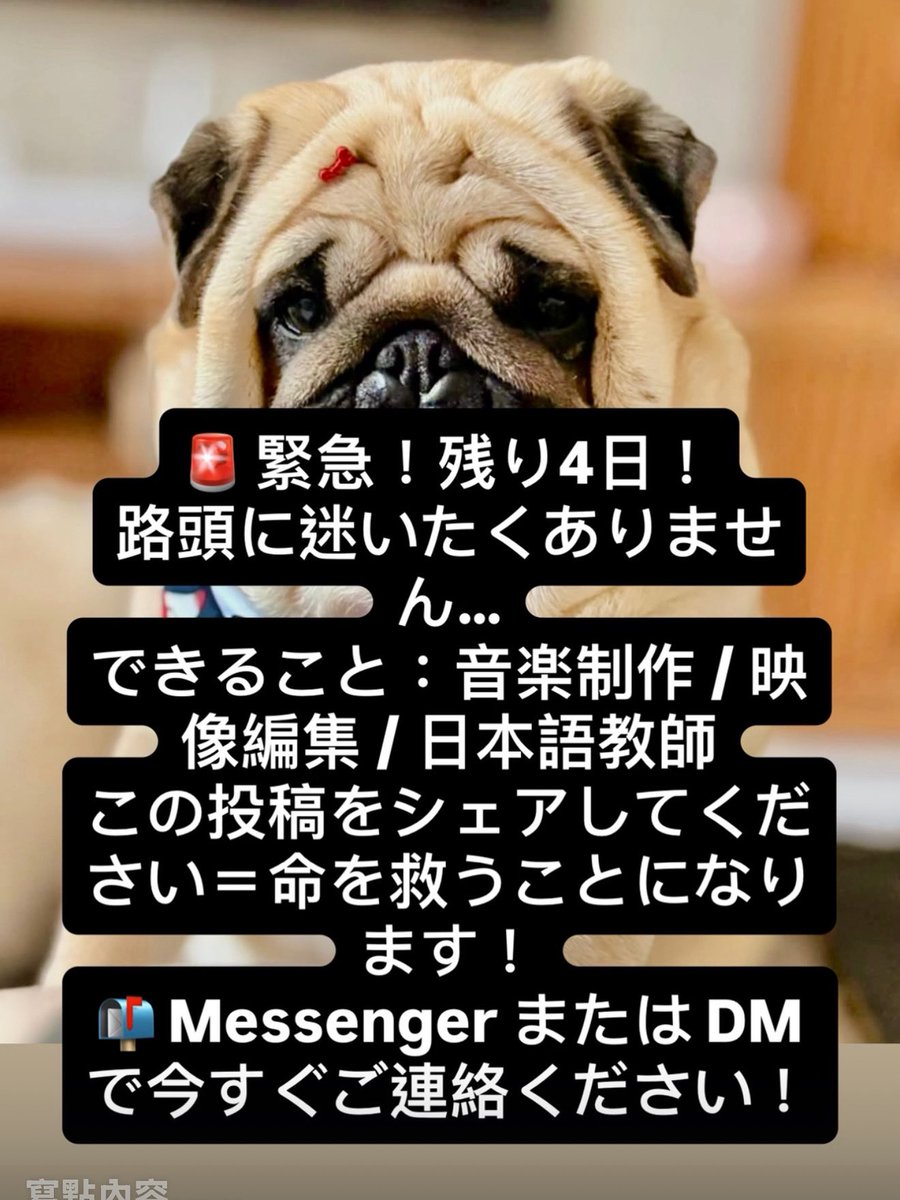YUHEI TANAKA (@yuheitanaka) / Posts / X