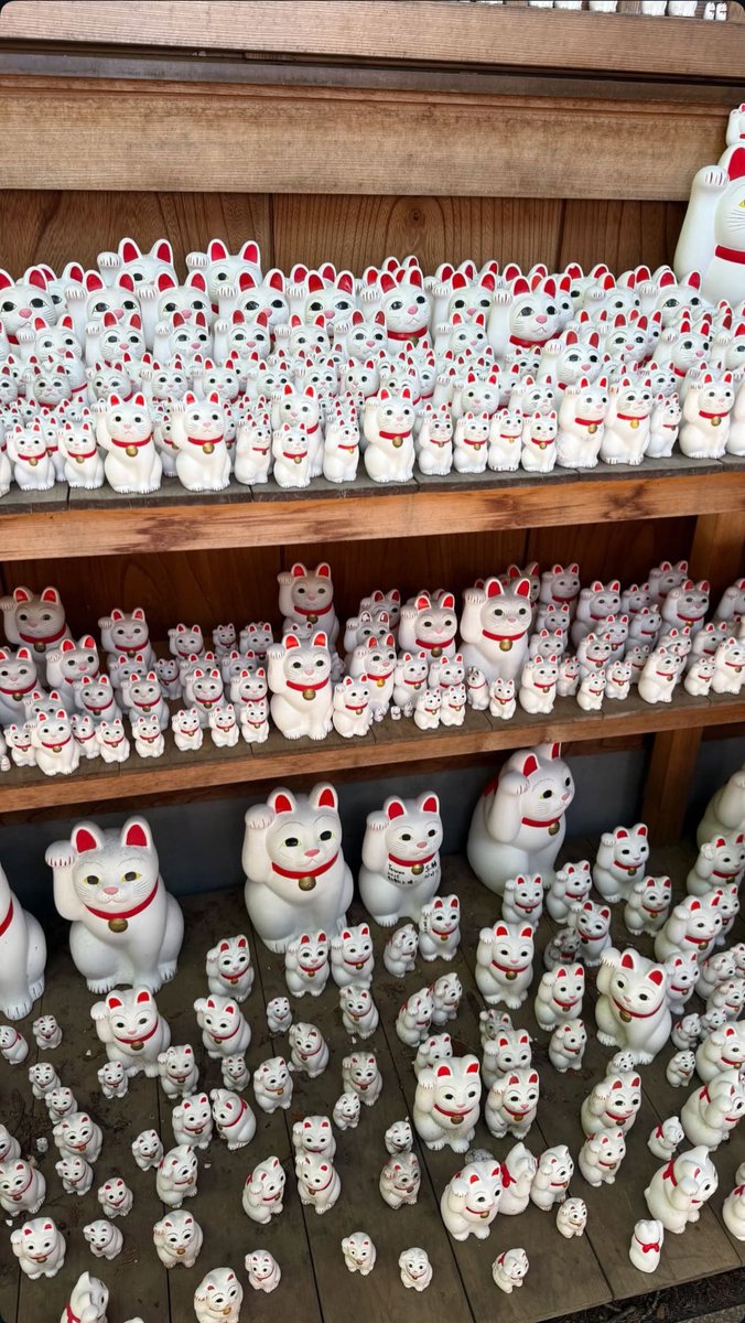 📸 | ビリー・アイリッシュがInstagramストーリーズを更新！世田谷区に