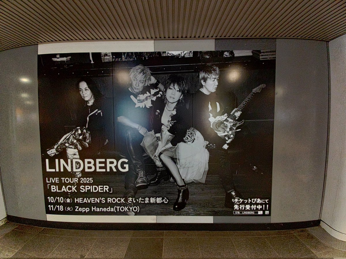 LINDBERG ファンクラブ数量限定　ビデオ LINDBERG_info (@LINDBERGinfo) / X