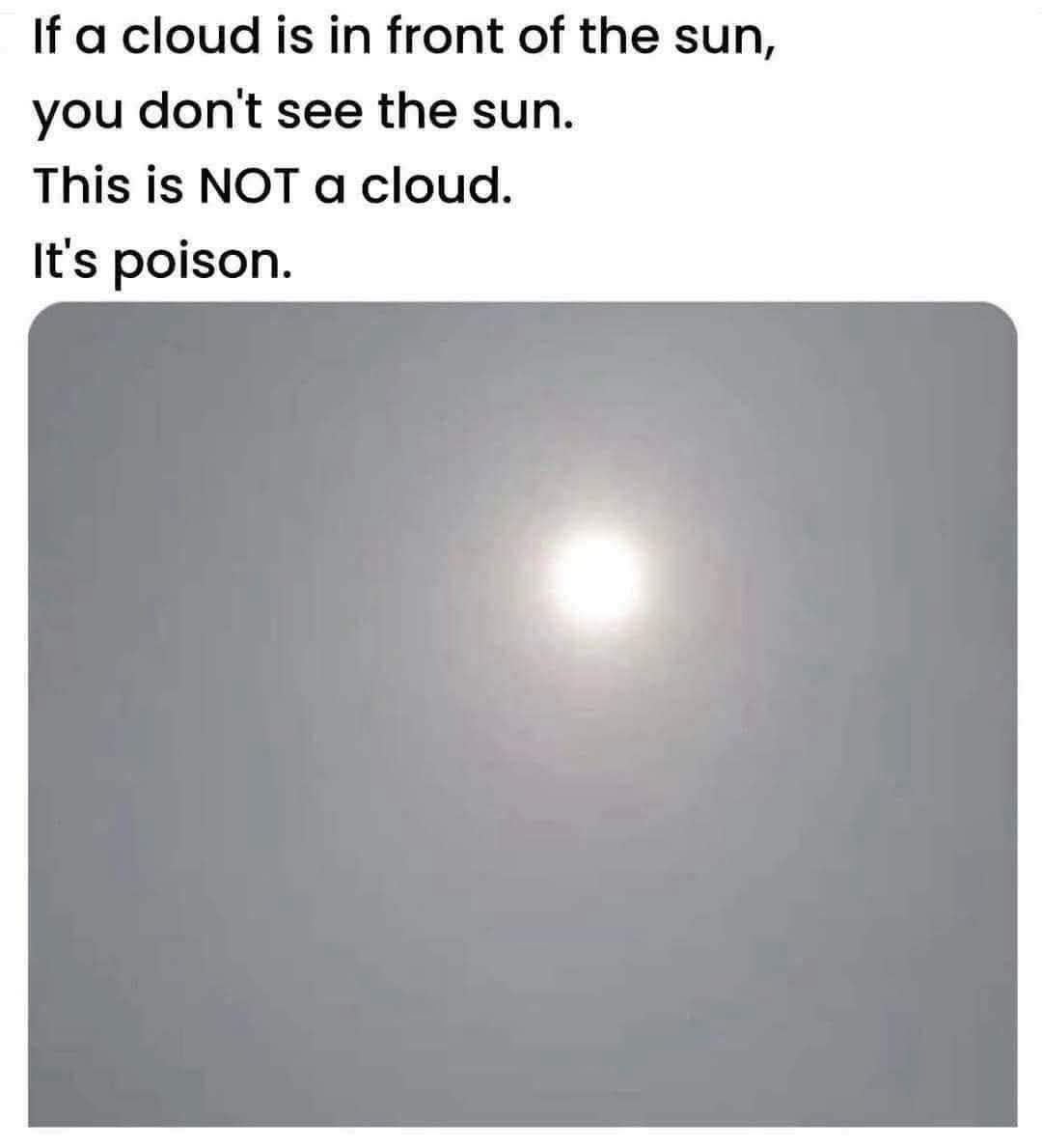 David Wolfe (@davidwolfe) on Twitter photo 