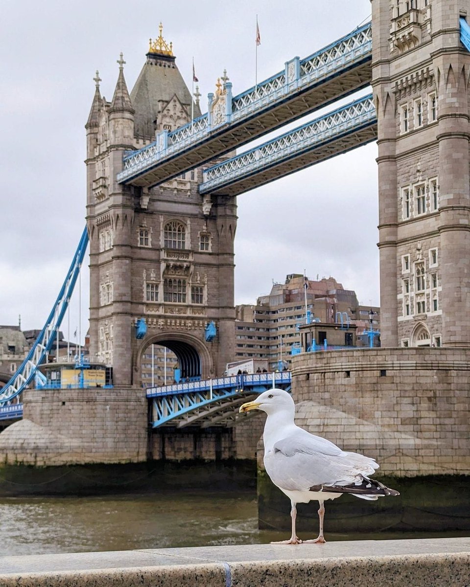 United Kingdom ˜˜