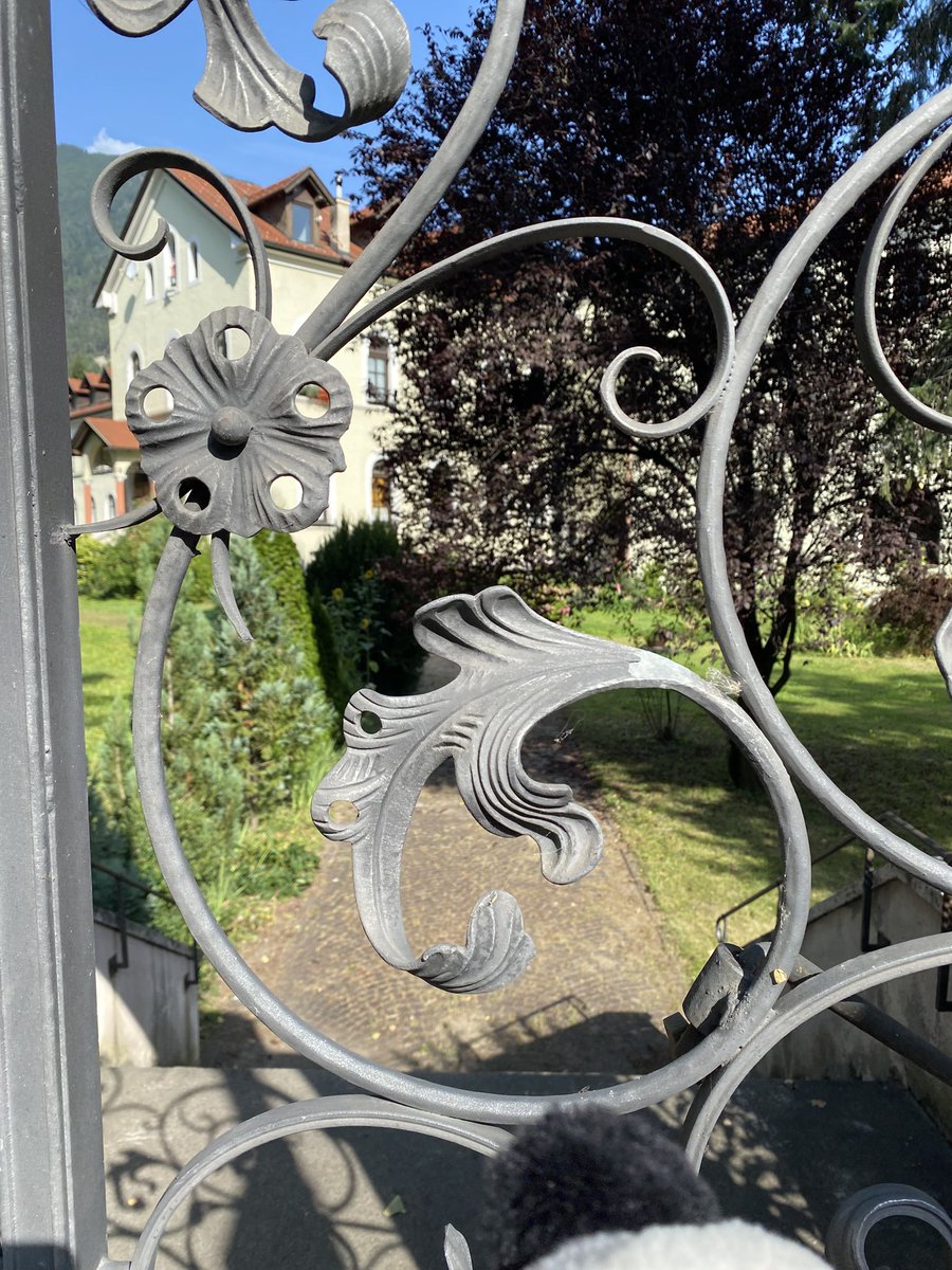 Sonia Zuccaro tweet media