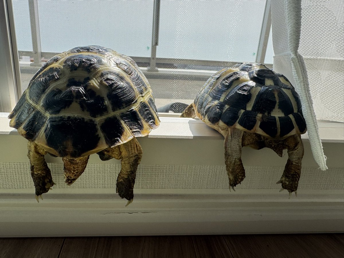 yunagi/ゆうなぎ (@yunaginaginagi) / Posts / X