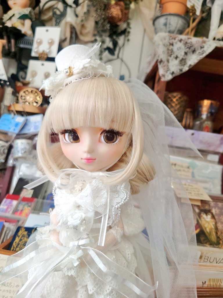 kiraboshizakka's tweet photo. 8/16(土) 13:00〜18:00 通常営業
8月は戦後80年という節目の年でもあり、メディアでは様々な切り口で特集されていますが来年も再来年もずっと忘れな���でほしい。
私には世界平和に直接的に寄与するような権力も財力もないけれど、ドールを愛でる自由な日常があることは本当に幸せだと思うから。 https://t.co/XncXrExvfg