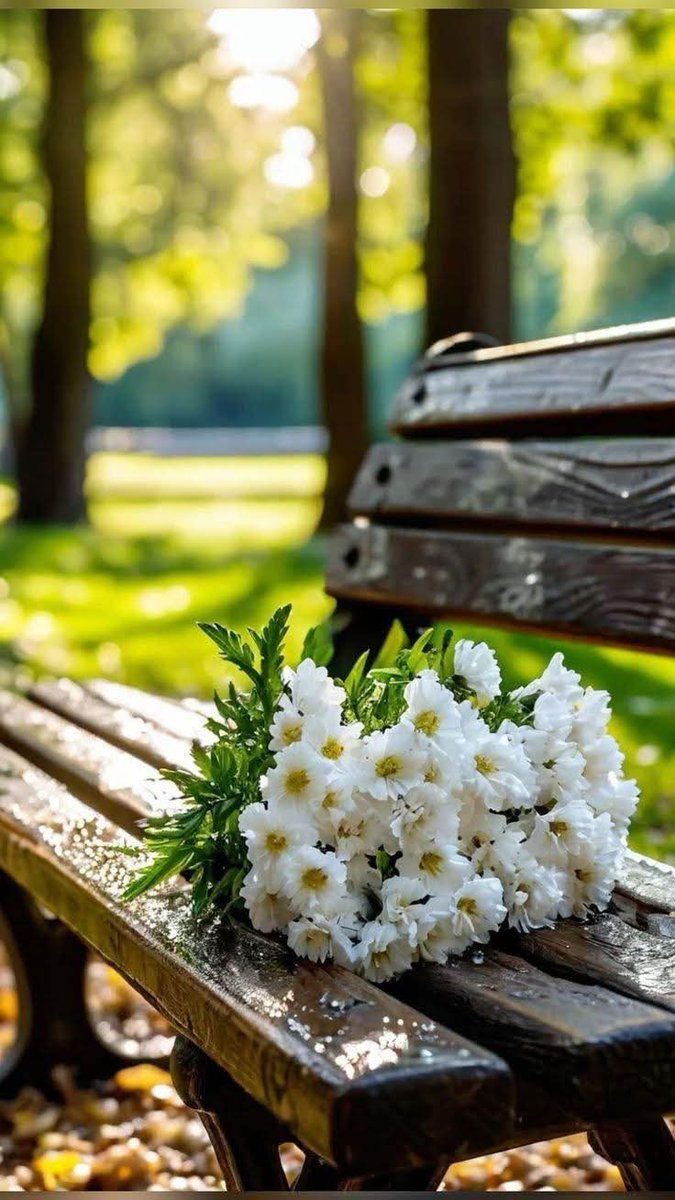 ~~

Yeter ki insanın içinde iyilik olsun, onun erişemeyeceği
Hiçbir yücelik yoktur.

İnsan, gönlü kadar büyüktür!..

~~

Günaydın Mutlu Hafta sonları...🍀
.