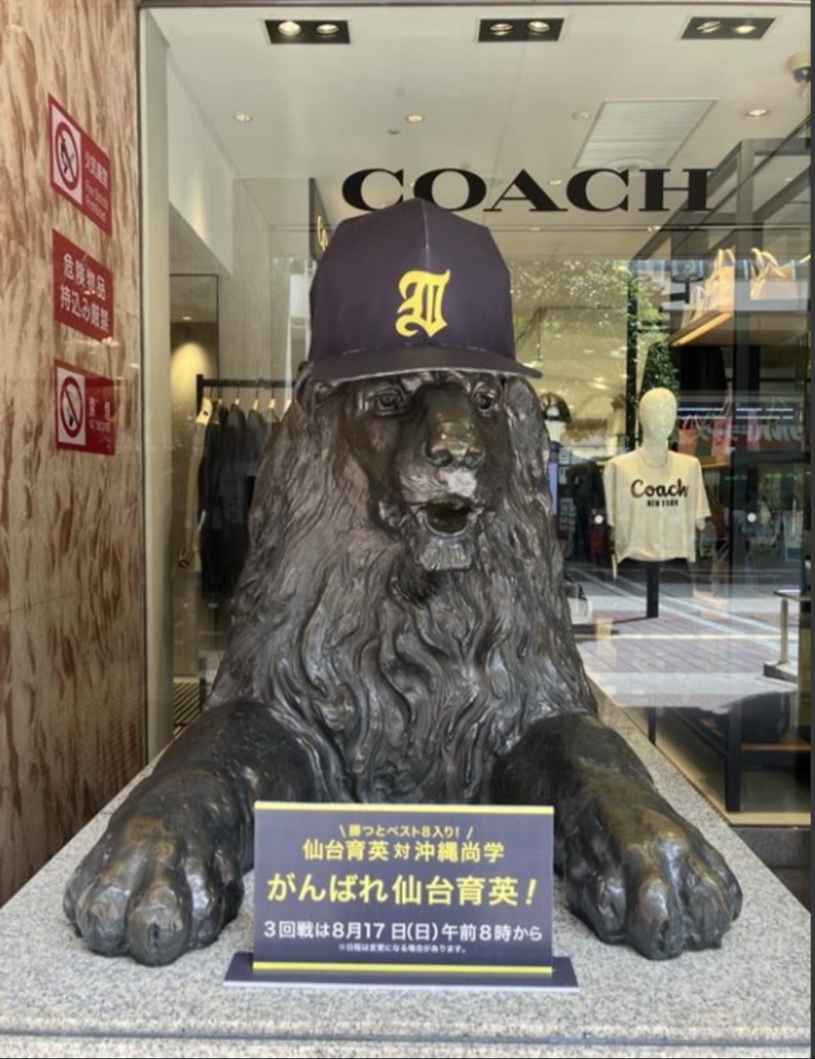 仙台育英　まとめ売り 仙台三越【公式】 on X: 