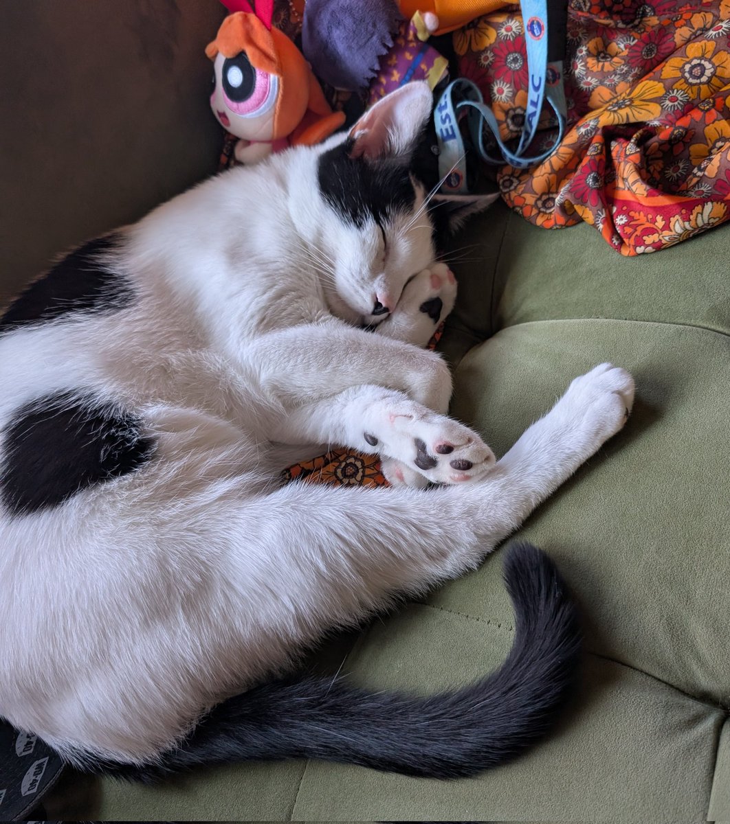 some marshes from earlier