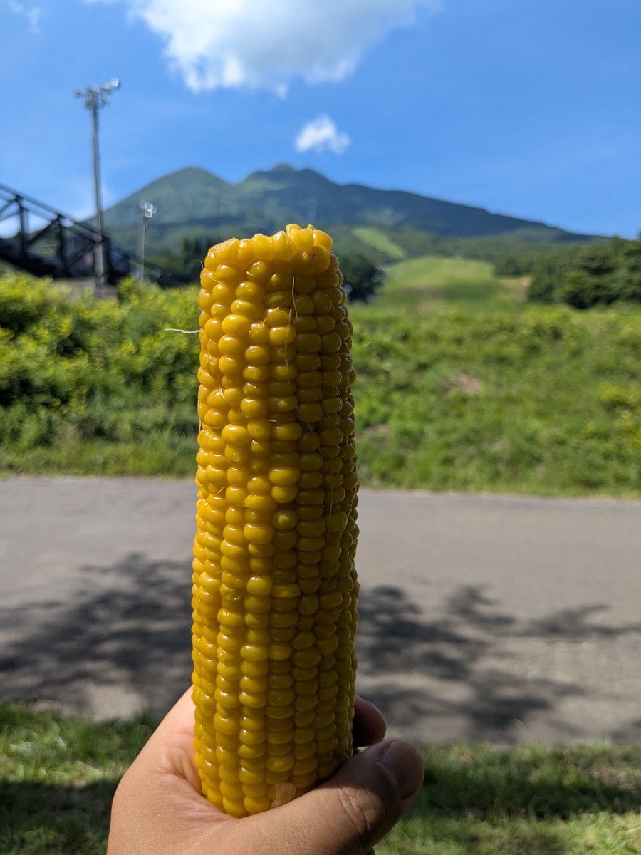 嶽きみプリプリして甘くてうまいよね