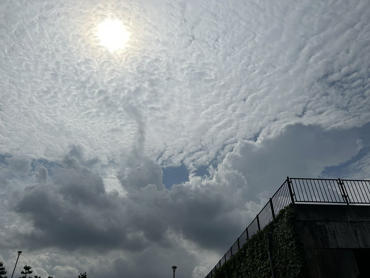 午前は、11kmラン Done! 午後は、涼んでカフェ勉だ。