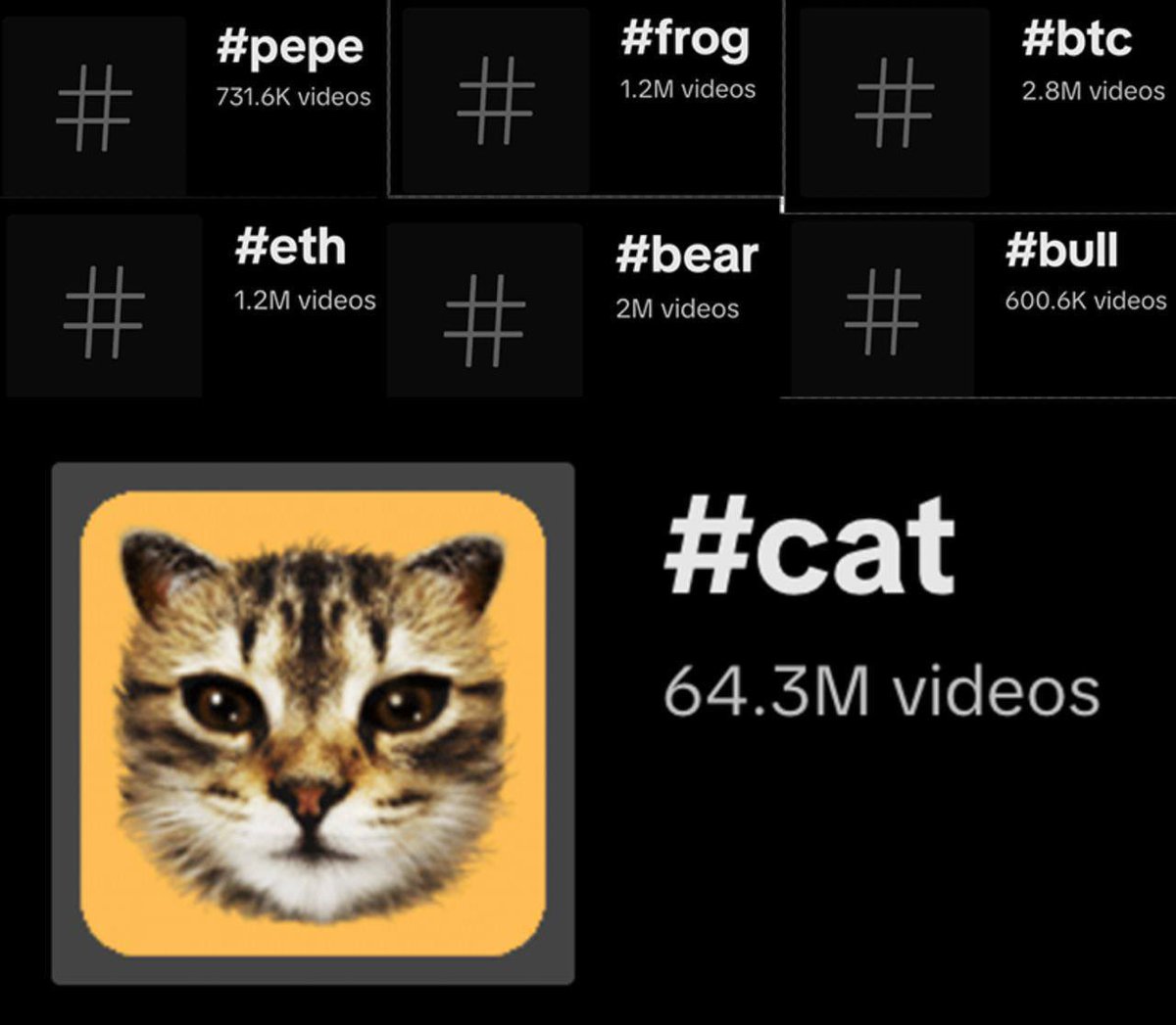 ducktoshi.sol tweet media