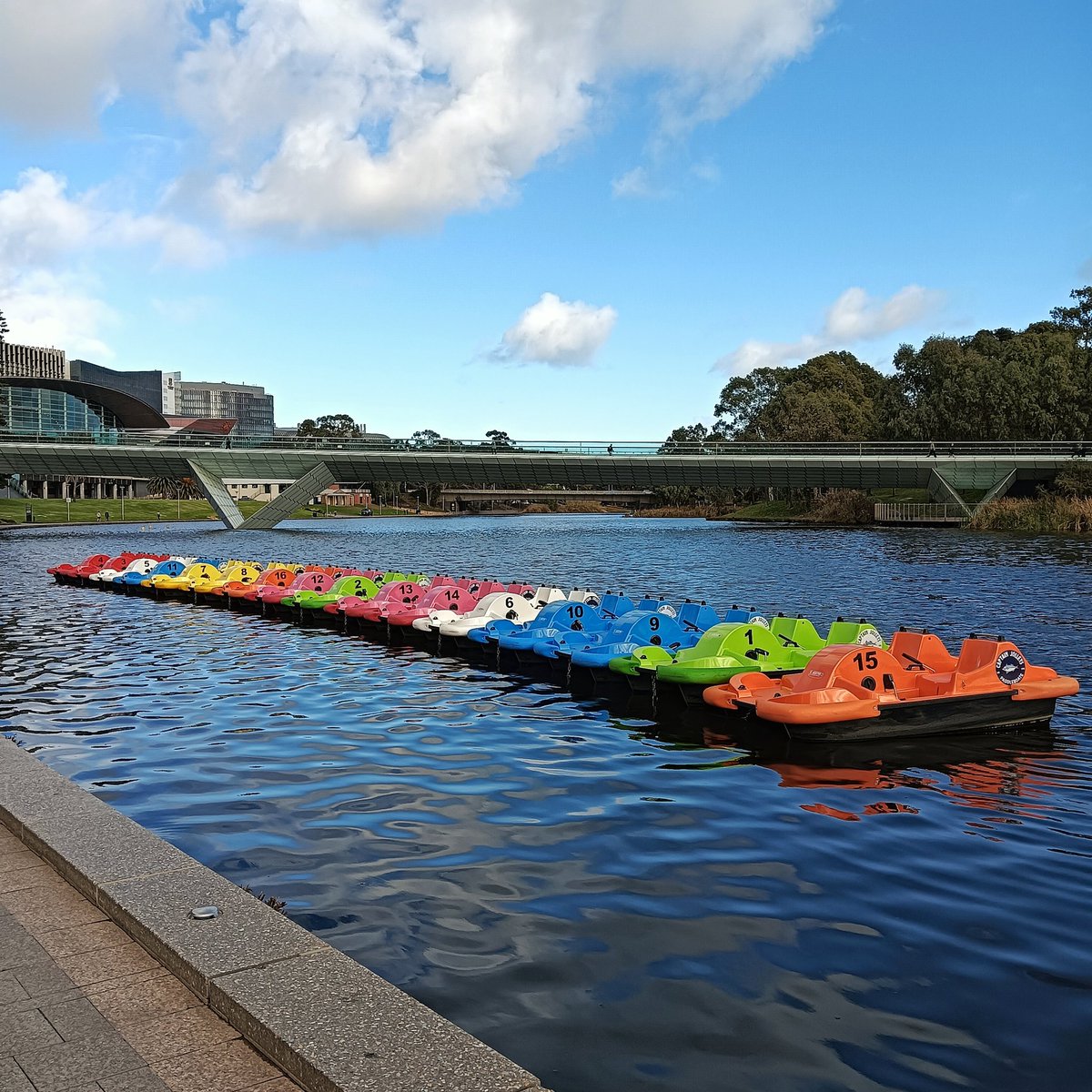pturn19's tweet image. Paddleboats on the Torrens this morning. #adelaide

Mildly annoying that they're not moored so that all boats of the same colour are grouped together. Or in number order. #attentiontodetail