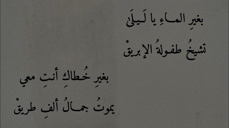 "بغيرِ خُطاكِ أنتِ معي
يموت جمالُ ألفِ طريق"