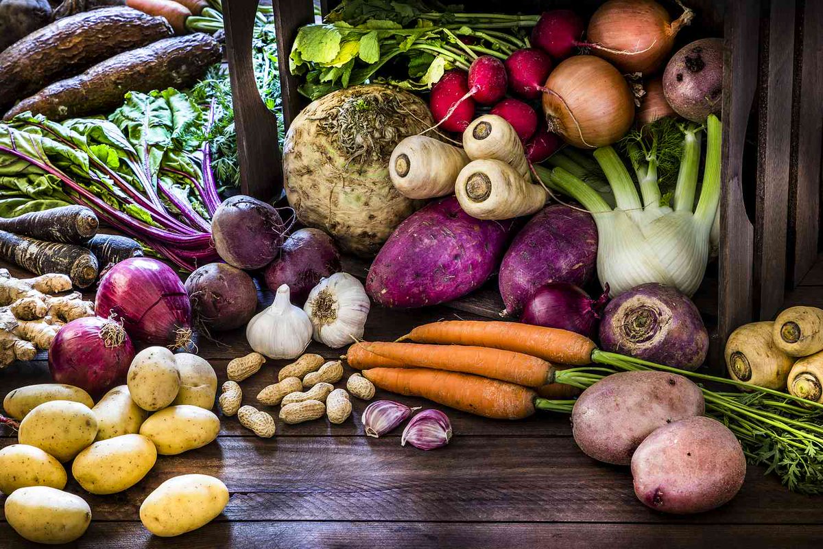 onjona18's tweet image. 🥔 Root vegetables = nature’s energy storage.
Carrots, beets, potatoes &amp;amp; more fuel your body with fiber, vitamins &amp;amp; minerals.
🌿 Discover why they belong on your plate → [nightshadefamily.com/root-vegetable…]
#RootVegetables #HealthyEating #Nutrition