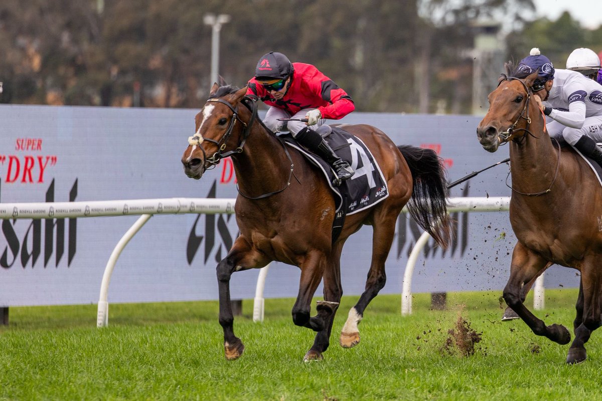 MFreedmanRacing's tweet photo. ⚫️🔴 NINJA 🔴⚫️

A fighting finish from the 3YO Farnan gelding @rosehillgardens today.

Landing his first metro win at just his third start under a strong ride from regular rider @AndrewAdkins103 

A big step up from a provincial maiden win to a benchmark 72 in town, this gelding is proving to his owners @MyRacehorseAU , connections and the team at home that he's a horse with a future.

Congratulations to all connections involved

📸 @georgiayphoto